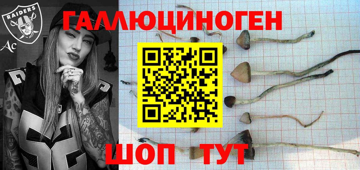 Галлюциногенные грибы прущие грибы Зеленокумск