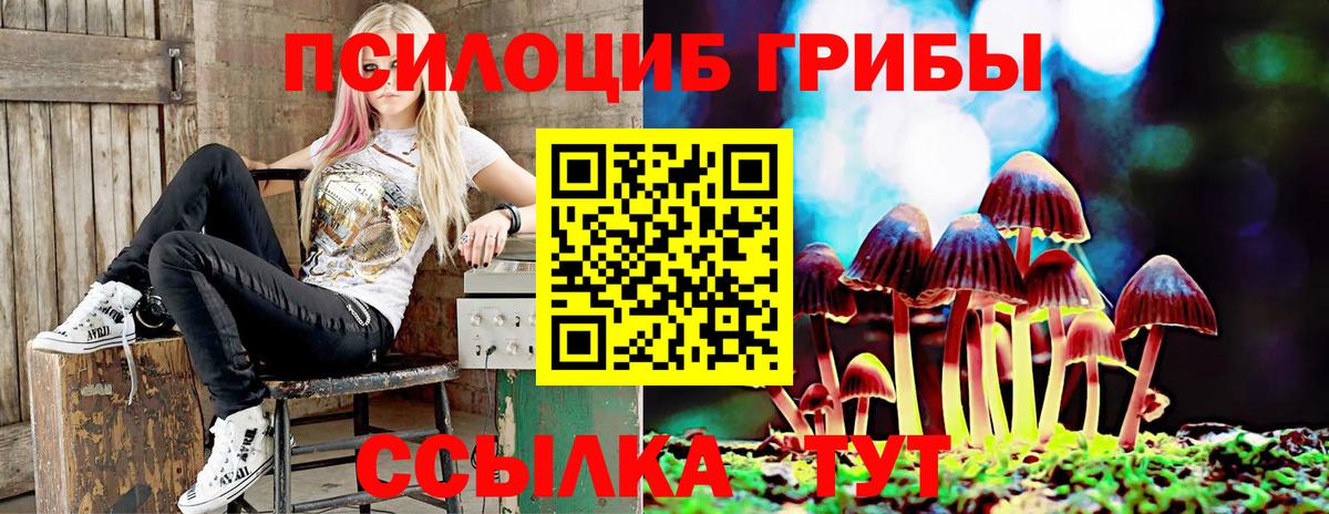 Галлюциногенные грибы GOLDEN TEACHER  Галлюциногенные грибы Cubensis  Зеленокумск  Вход с VPN 